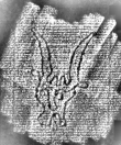 DE1185-S794_19 - Typ:0 - ID: 126092 - Eintrag Nr.: 105 Wasserzeichen DE1185-S794_19