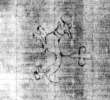 DE5580-2Incca1972a_z7 - Typ:0 - ID: 126249 - Eintrag Nr.: 106 Wasserzeichen DE5580-2Incca1972a_z7