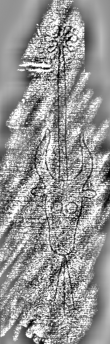 Wasserzeichen DE3315-GMLIII.E.120._147