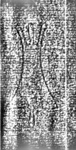 Wasserzeichen DE3315-GMVIII.E.38._110