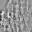 DE3315-GMXII.E.78._76 - Typ:0 - ID: 126347 - Eintrag Nr.: 8 Wasserzeichen DE3315-GMXII.E.78._76