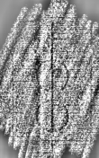 Wasserzeichen DE3315-GMXLVII.E.114._16