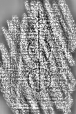 Wasserzeichen DE3315-GMXLVII.E.114._22