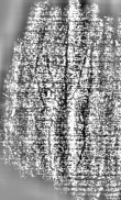 DE3315-GMXX.E.55._38 - Typ:0 - ID: 126480 - Eintrag Nr.: 142 Wasserzeichen DE3315-GMXX.E.55._38