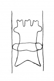 DE4860-Ms1072_104 - Typ:0 - ID: 126554 - Eintrag Nr.: 2 Wasserzeichen DE4860-Ms1072_104