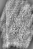 DE3315-GMXXX.E.16._118 - Typ:0 - ID: 126727 - Eintrag Nr.: 107 Wasserzeichen DE3315-GMXXX.E.16._118