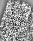 DE3315-GMXXX.E.16._126 - Typ:0 - ID: 126728 - Eintrag Nr.: 108 Wasserzeichen DE3315-GMXXX.E.16._126