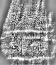 DE3315-GMXXX.E.16._306 - Typ:0 - ID: 126741 - Eintrag Nr.: 34 Wasserzeichen DE3315-GMXXX.E.16._306