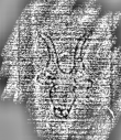 DE3315-GMXXXI.E.75._224 - Typ:0 - ID: 126782 - Eintrag Nr.: 220 Wasserzeichen DE3315-GMXXXI.E.75._224