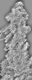 DE3360-Ms189_286 - Typ:0 - ID: 127134 - Eintrag Nr.: 137 Wasserzeichen DE3360-Ms189_286