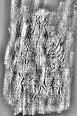 DE3360-Ms679_125 - Typ:0 - ID: 127150 - Eintrag Nr.: 41 Wasserzeichen DE3360-Ms679_125