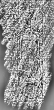 DE3360-Ms766_19 - Typ:0 - ID: 127172 - Eintrag Nr.: 175 Wasserzeichen DE3360-Ms766_19