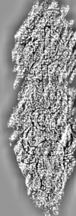 DE3360-Ms766_2 - Typ:0 - ID: 127173 - Eintrag Nr.: 80 Wasserzeichen DE3360-Ms766_2