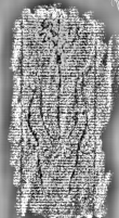 DE3360-Ms767_104 - Typ:0 - ID: 127191 - Eintrag Nr.: 24 Wasserzeichen DE3360-Ms767_104