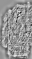 DE3360-Ms767_2 - Typ:0 - ID: 127192 - Eintrag Nr.: 25 Wasserzeichen DE3360-Ms767_2
