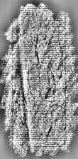 DE3360-Ms767_95 - Typ:0 - ID: 127195 - Eintrag Nr.: 28 Wasserzeichen DE3360-Ms767_95
