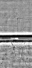 DE0960-Mtlq223_221|222 - Typ:0 - ID: 127310 - Eintrag Nr.: 64 Wasserzeichen DE0960-Mtlq223_221|222