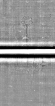 DE0960-Mtlq223_216|217 - Typ:0 - ID: 127312 - Eintrag Nr.: 65 Wasserzeichen DE0960-Mtlq223_216|217