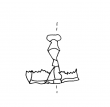 DE4860-Ms275_421 - Typ:0 - ID: 128105 - Eintrag Nr.: 3 Wasserzeichen DE4860-Ms275_421