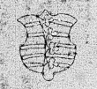 DE0960-Österreich3_41r - Typ:0 - ID: 128598 - Eintrag Nr.: 89 Wasserzeichen DE0960-Österreich3_41r