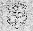 DE0960-Österreich3_52r - Typ:0 - ID: 128599 - Eintrag Nr.: 90 Wasserzeichen DE0960-Österreich3_52r
