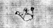 DE5580-2Incca2511Beibd.2_G4 - Typ:0 - ID: 128697 - Eintrag Nr.: 148 Wasserzeichen DE5580-2Incca2511Beibd.2_G4