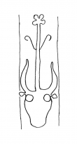 DE4860-Inc_Civ_Lips_11_26 - Typ:0 - ID: 129220 - Eintrag Nr.: 8 Wasserzeichen DE4860-Inc_Civ_Lips_11_26