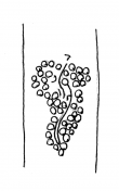 Wasserzeichen DE1935-Mscr_Dresd_H_78e_26