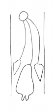 DE4860-Rep_I_44b_90 - Typ:0 - ID: 130822 - Eintrag Nr.: 7 Wasserzeichen DE4860-Rep_I_44b_90