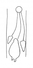 DE4860-Rep_I_44b_189 - Typ:0 - ID: 130824 - Eintrag Nr.: 6 Wasserzeichen DE4860-Rep_I_44b_189