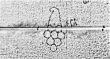 Wasserzeichen DE0960-Cherubini151_107