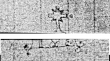 Wasserzeichen DE0960-Cherubini308_25