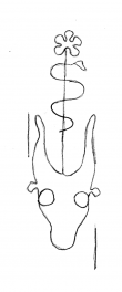 DE4860-Ms1470_7 - Typ:0 - ID: 133057 - Eintrag Nr.: 2 Wasserzeichen DE4860-Ms1470_7
