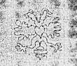 Wasserzeichen DE0960-Keiser8_43