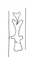 DE4860-Coll_Cic_34a_A1 - Typ:0 - ID: 133765 - Eintrag Nr.: 4 Wasserzeichen DE4860-Coll_Cic_34a_A1