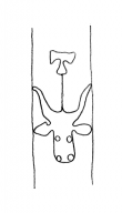 DE4860-Coll_Cic_34a_A5 - Typ:0 - ID: 133767 - Eintrag Nr.: 2 Wasserzeichen DE4860-Coll_Cic_34a_A5