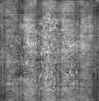 DE4815-DNB-L-WZ-0014177 - Typ:1 - ID: 134071 - Eintrag Nr.: 9 Wasserzeichen DE4815-DNB-L-WZ-0014177