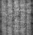 DE4815-DNB-L-WZ-0014179 - Typ:1 - ID: 134073 - Eintrag Nr.: 11 Wasserzeichen DE4815-DNB-L-WZ-0014179