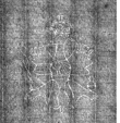 DE4815-DNB-L-WZ-0014184 - Typ:1 - ID: 134082 - Eintrag Nr.: 20 Wasserzeichen DE4815-DNB-L-WZ-0014184