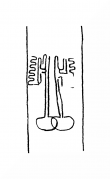 Wasserzeichen DE8100-CodTheol2177_115