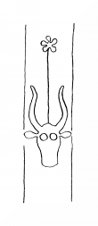 Wasserzeichen DE8100-CodTheol2151_155