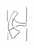 Wasserzeichen DE8100-CodTheol2170_60