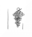 Wasserzeichen DE8100-CodTheol2163_237