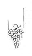 Wasserzeichen DE8100-CodTheol2163_208