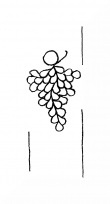 Wasserzeichen DE8100-CodTheol2159_316