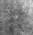 Wasserzeichen DE4815-DNB-L-WZ-0014768