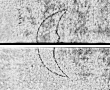 Wasserzeichen DE0960-Gluck3_5