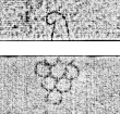 Wasserzeichen DE0960-Cherubini156_4