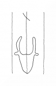 Wasserzeichen DE8100-CodTheol269_999e