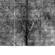 Wasserzeichen DE4815-DNB-L-WZ-0015182-wm2